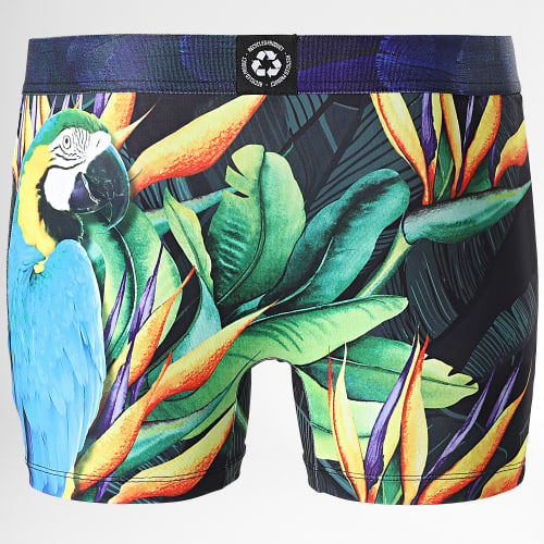 Boxer Parrot Vert
