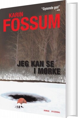 Jeg Kan Se I Mørke - Karin Fossum - Bog