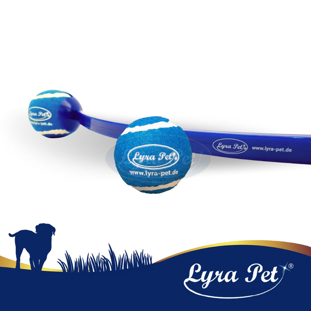 Lyra Pet® Ballschleudern für Hunde Spielzeug