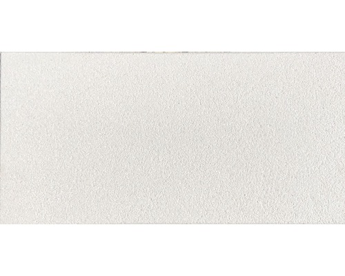 Terrastegel Bergamo witgrijs gestraald 80 x 40 x 3,9 cm