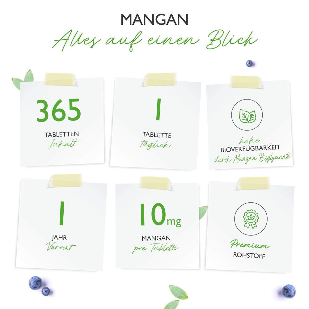 vit4ever Mangan 10 mg