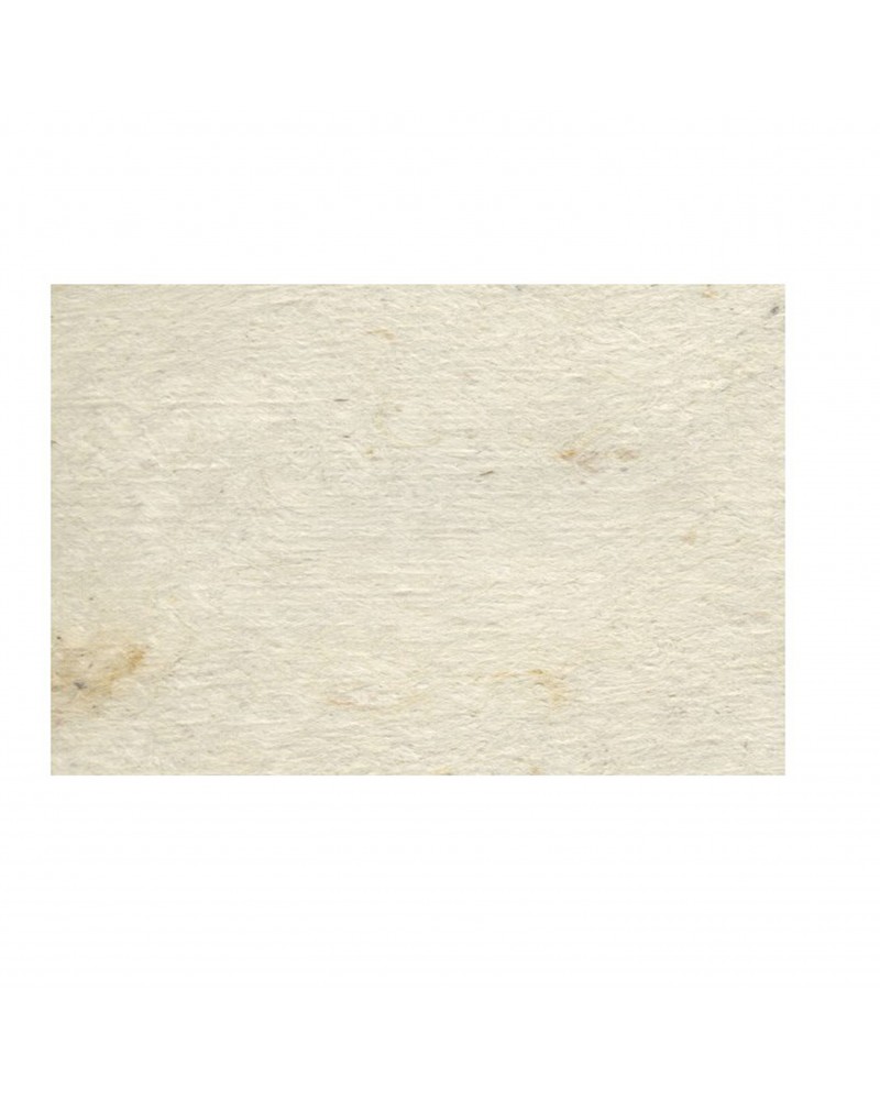 AMATE Blanc