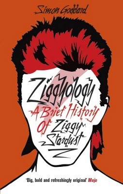Ziggyology (Paperback)