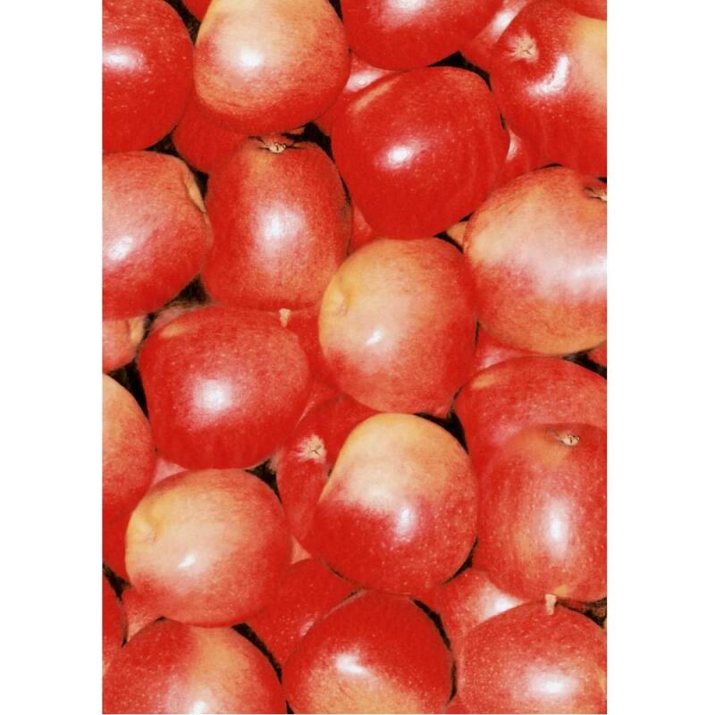 * Pochette 3 Feuilles Identiques Ref 491 - Rouge
