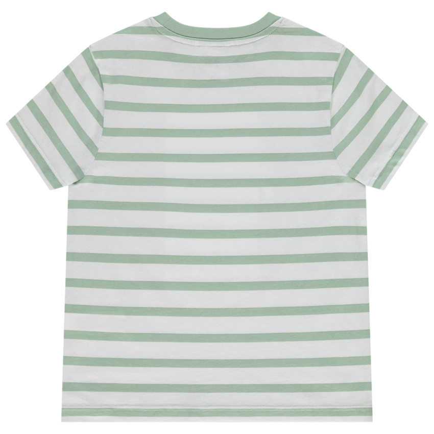 T-shirt manches courtes rayées avec print fantaisie pour garçon