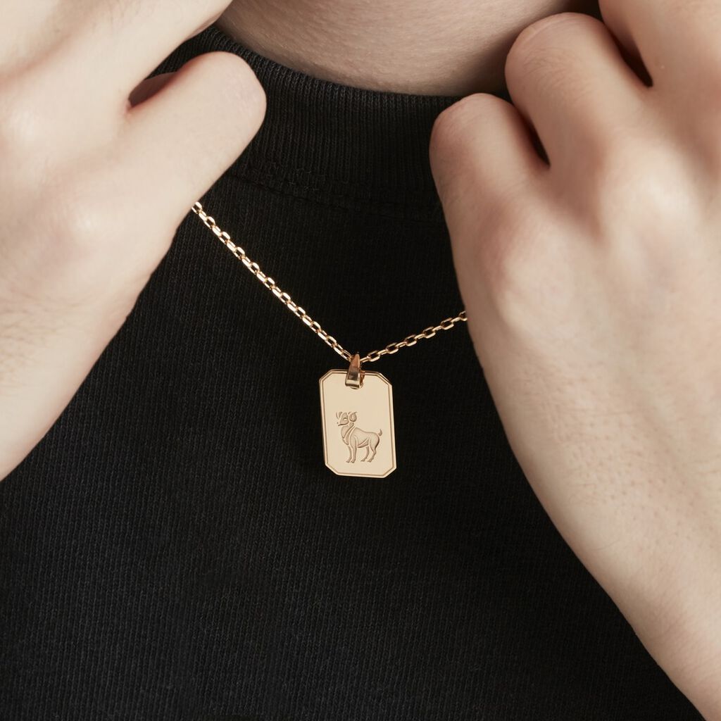 Collier Plaqué Or Quintien