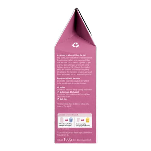 Löwenzahn Organics Bio Energy Balls für Stillende Schoko