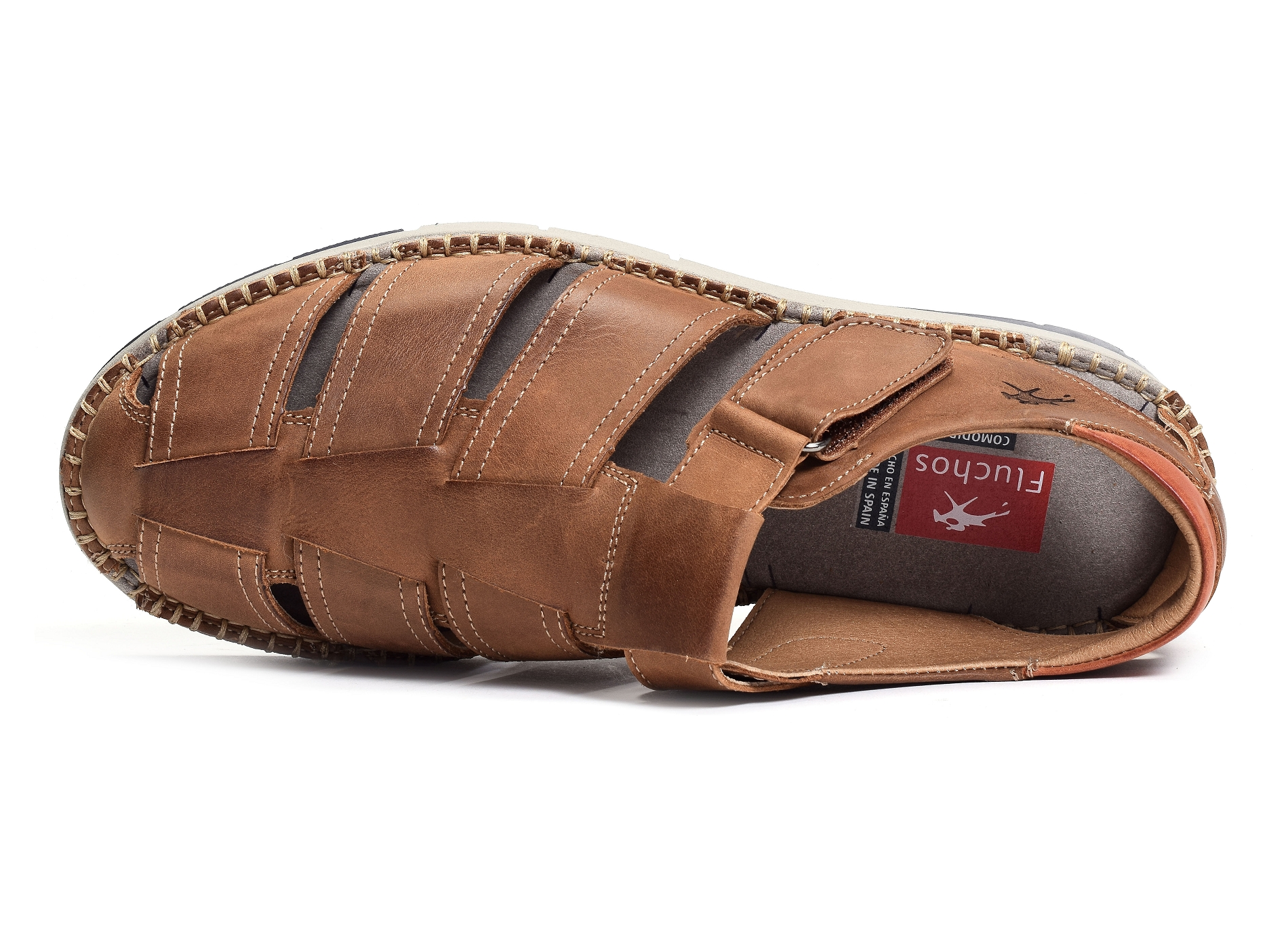 F1167 camel