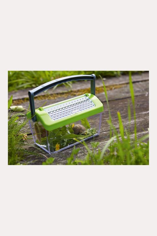 Haba Toys Haba Toys Terra Kids Insectendoos