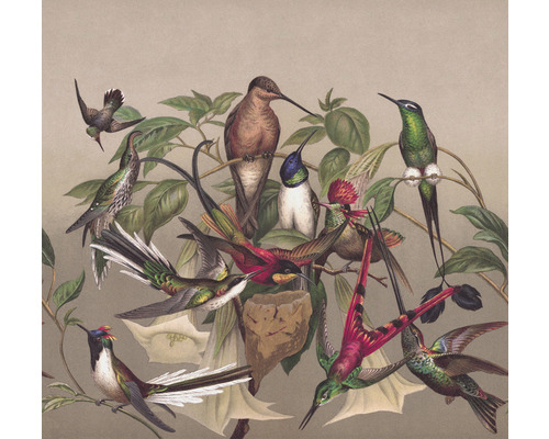 Vliesbehang 543568 Curiosity Birds beige 6-delige set 318 x 300 cm