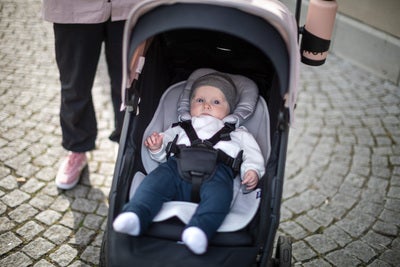 Thule Spedbarnsinnlegg