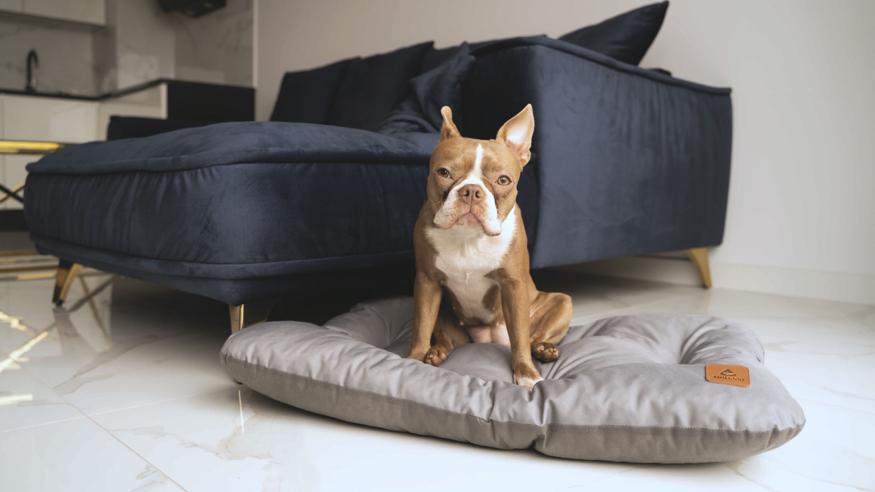 Animood Hundebett-Kissen Mort grau L Tierbett Tiersofa