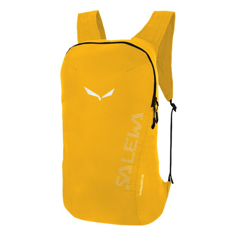 Salewa Ultralight 22 Rucksack