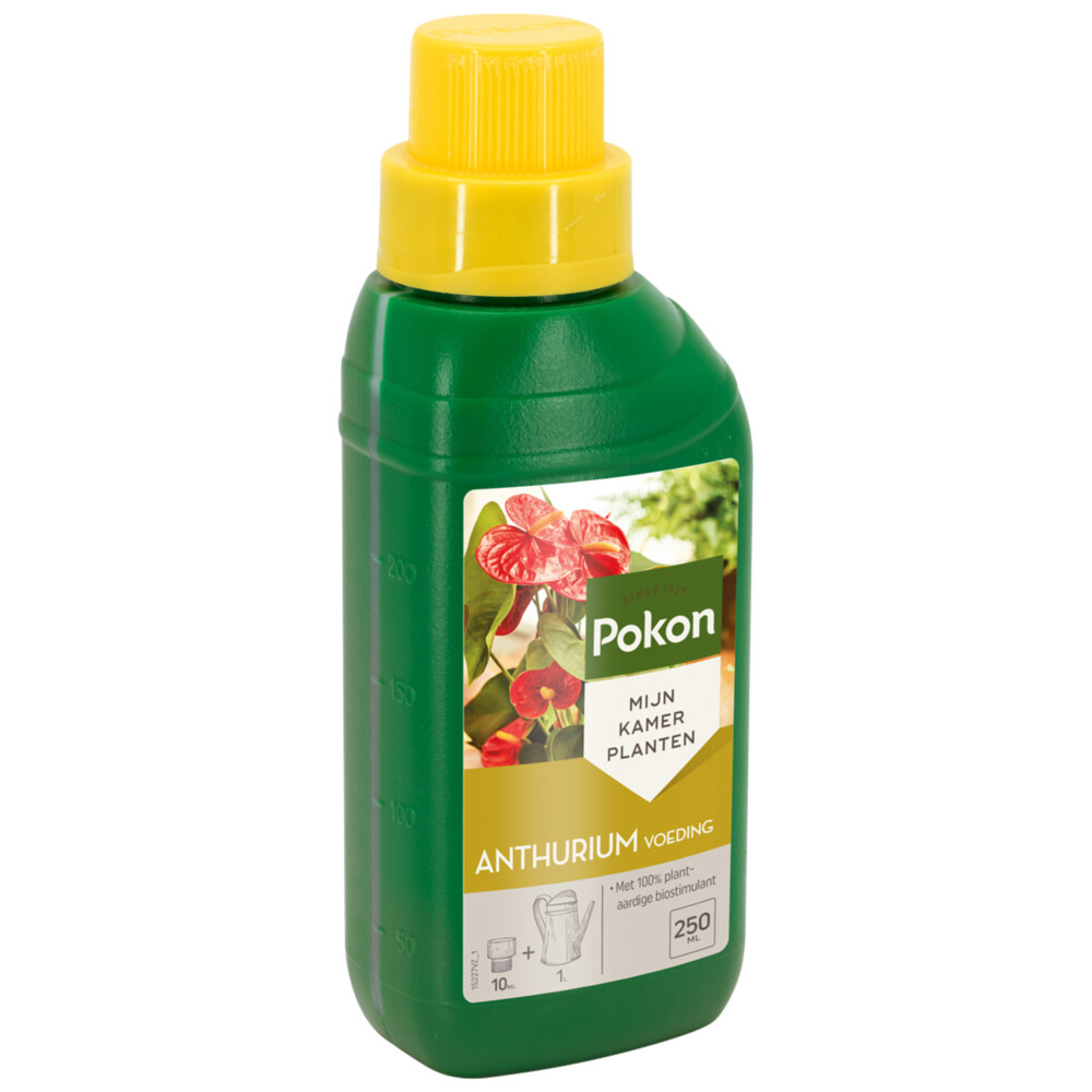 Pokon Planten Voeding Anthurium500 ml