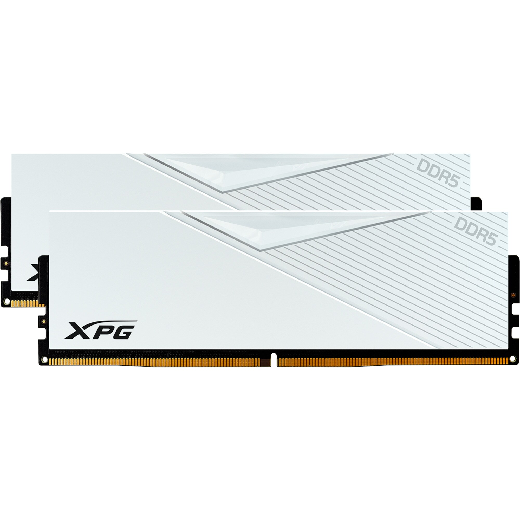 ADATA Arbeitsspeicher DIMM 32 GB DDR5-6000 (2x 16 GB) Dual-Kit