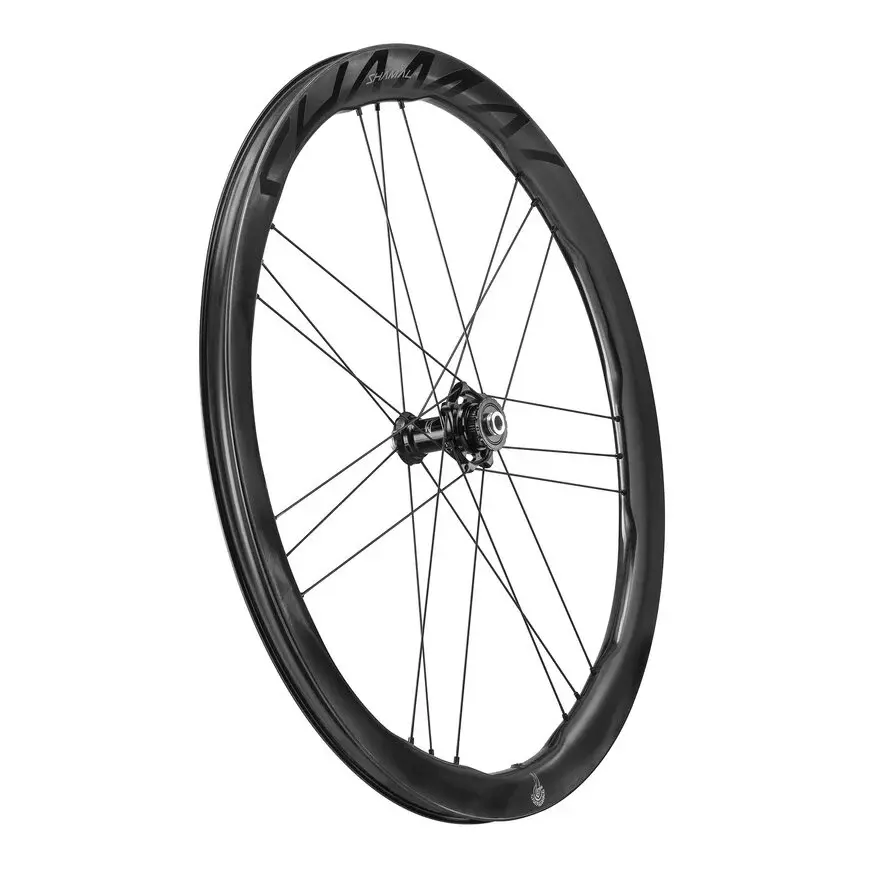 Campagnolo SHAMAL Dual Profile 2WF C23 Carbon Disc Race Wielset