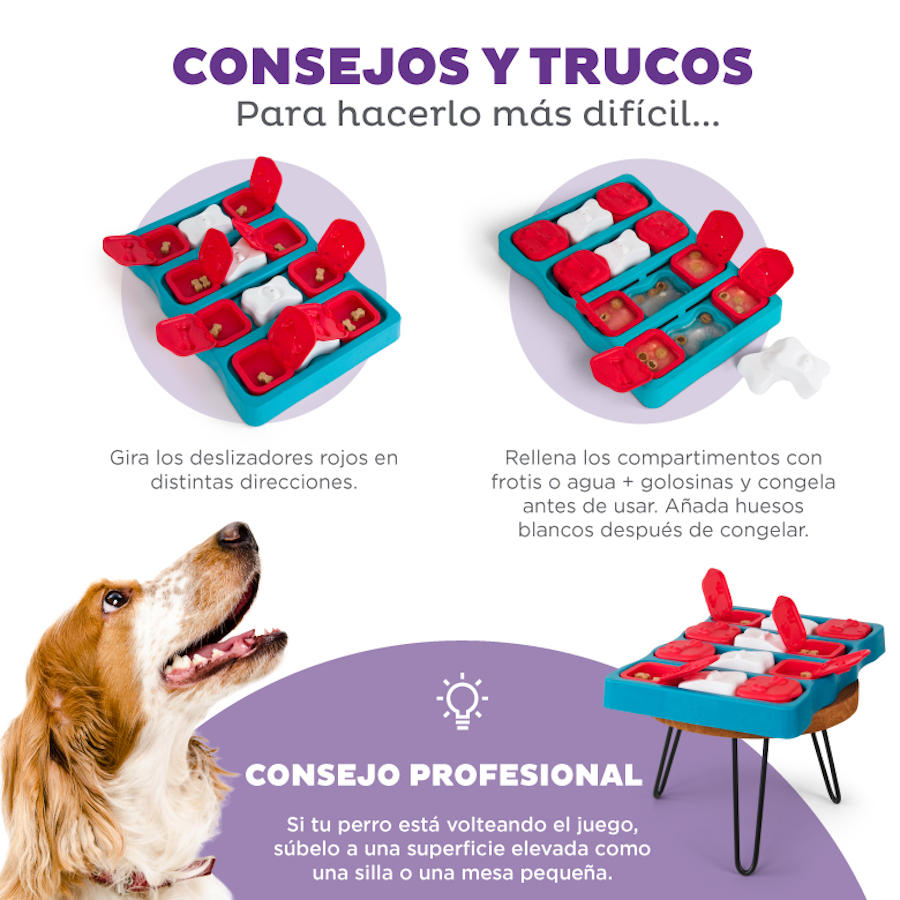 Quebra-cabeça de peças Outward Hound Nina Ottosson para cães