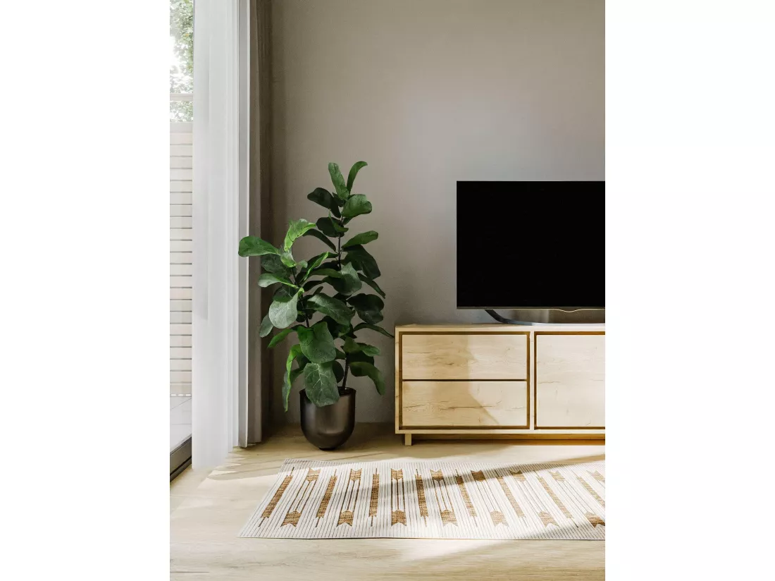 Tapis d'extérieur & intérieur Kaleo Crème/Beige 80x300 cm