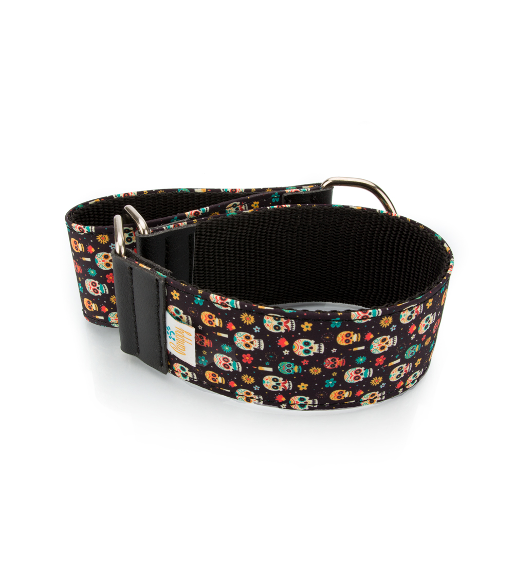 Coleira para cães Pamppy Galgo Speedy Mexican Skull