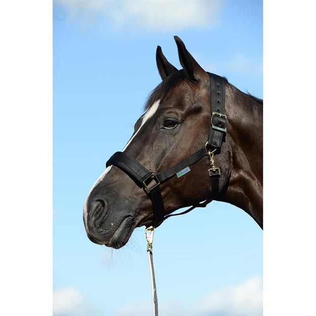 Halster Bucas Comfort Zwart