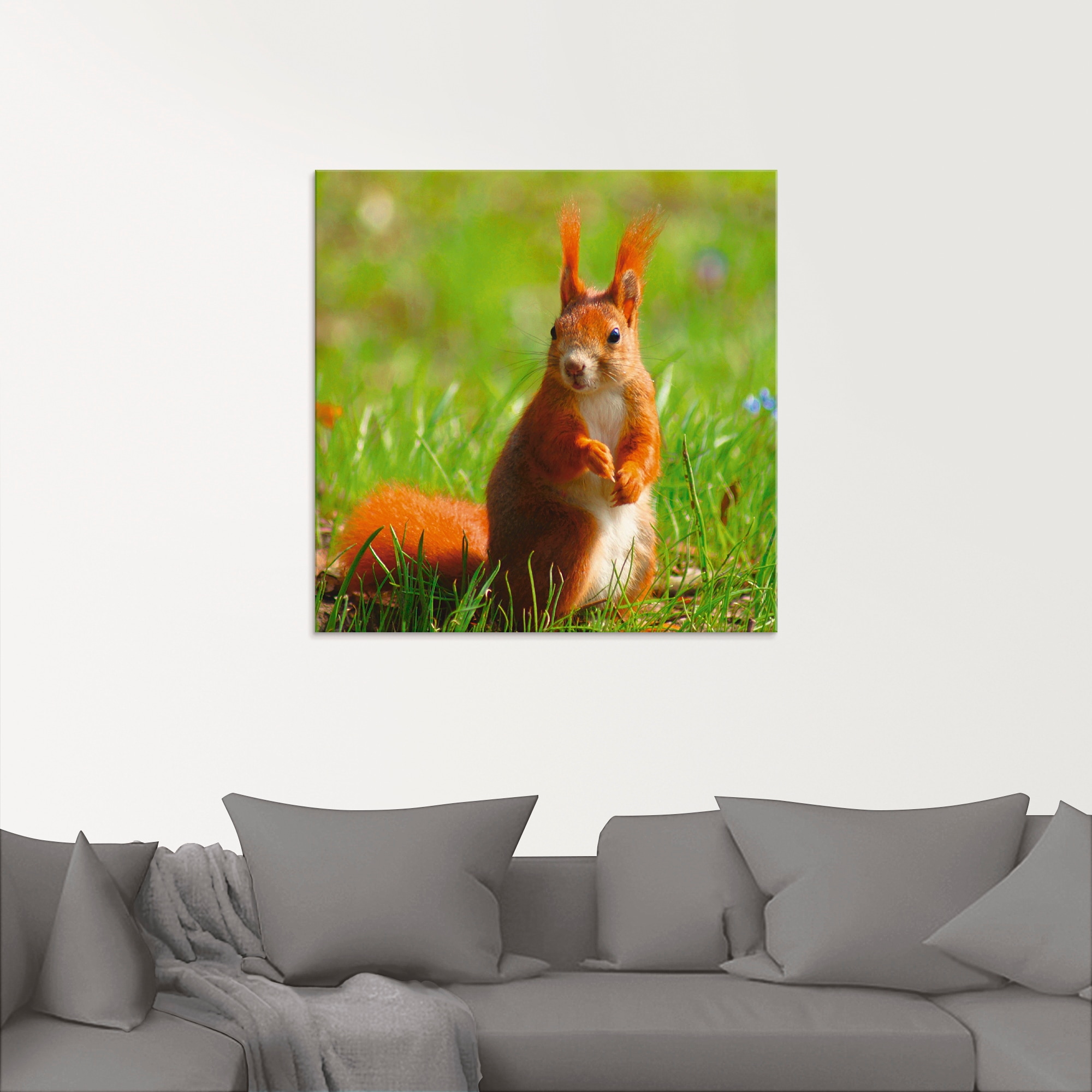 Artland Glasbild »Eichhörnchen Kontakt« Wildtiere 1 Stk. tlg. in verschiedenen Grössen