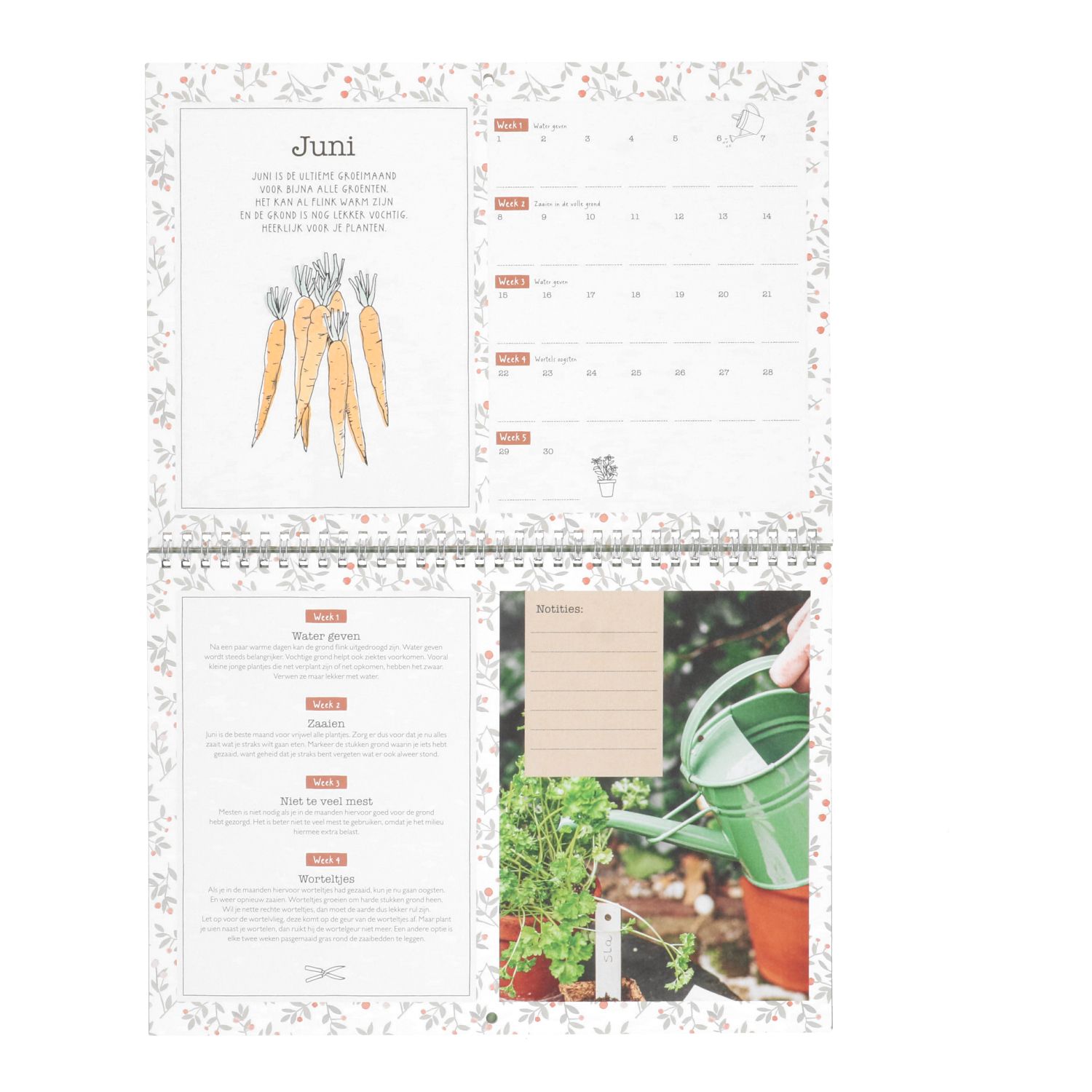 Moestuinkalender, Dille & Kamille