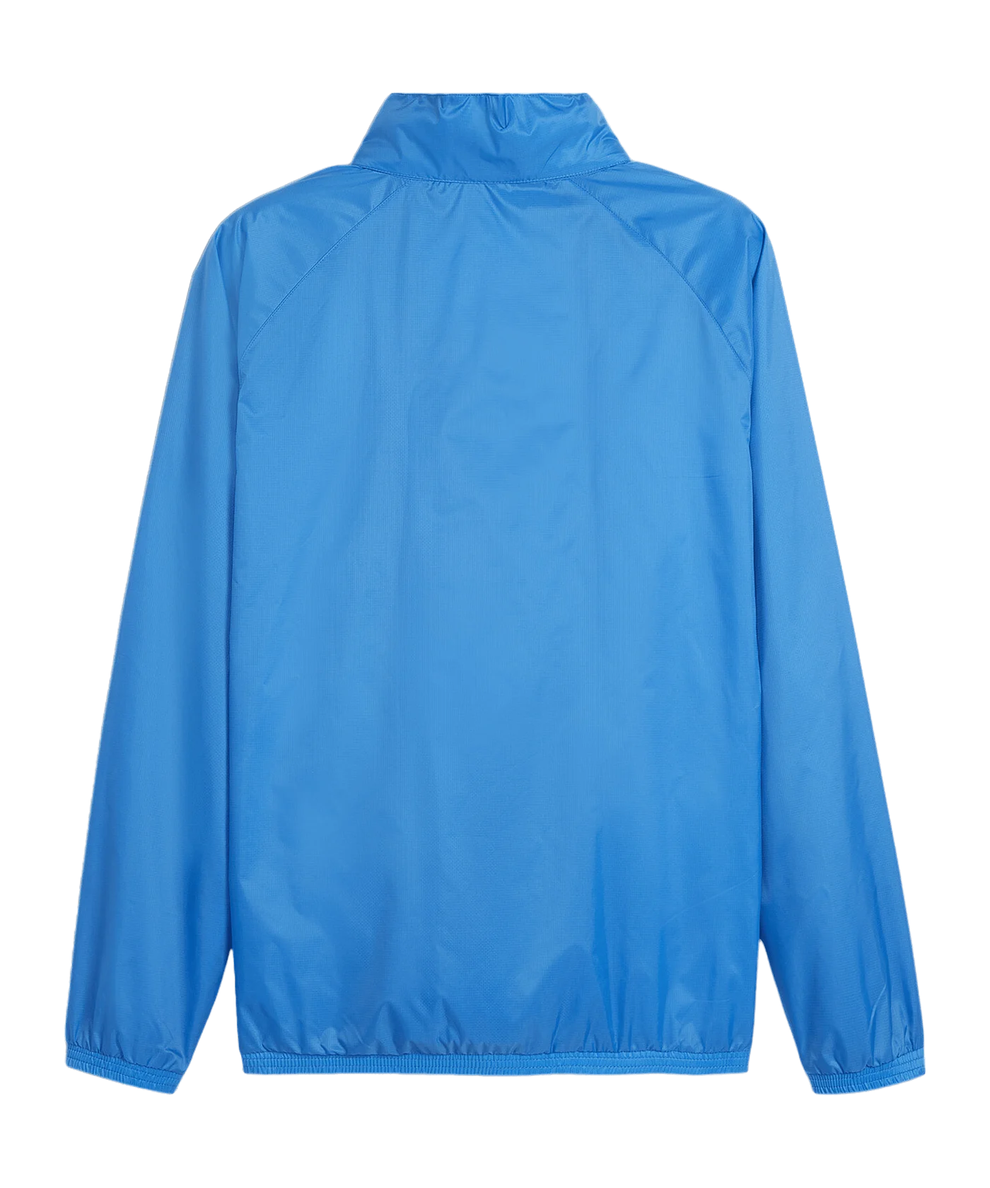 PUMA teamGOAL Allwetterjacke Blau Weiss F02