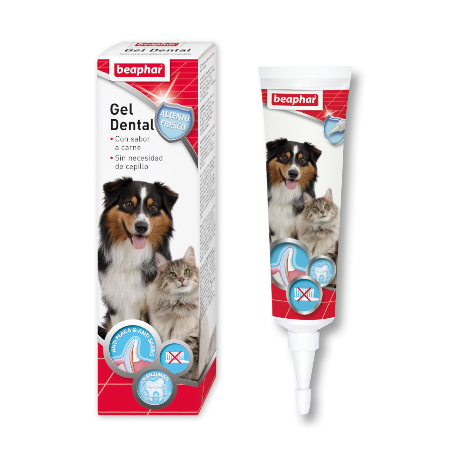 Gel dental Beaphar para cães e gatos
