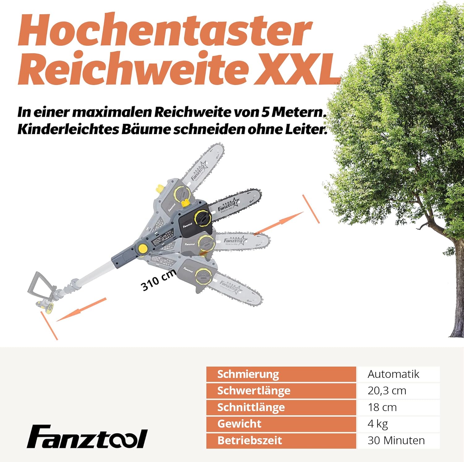 FANZTOOL 20V Li-Ion Akku-Hochentaster mit 2,5Ah Akku/Ladegerät, Höhe bis 5 m, 17 cm Schnittstärke, Schwertlänge 20 cm, leichtes Gewicht 4 kg