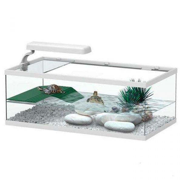 Aquatlantis Terrário Tartaruga Tortum 55 Branco