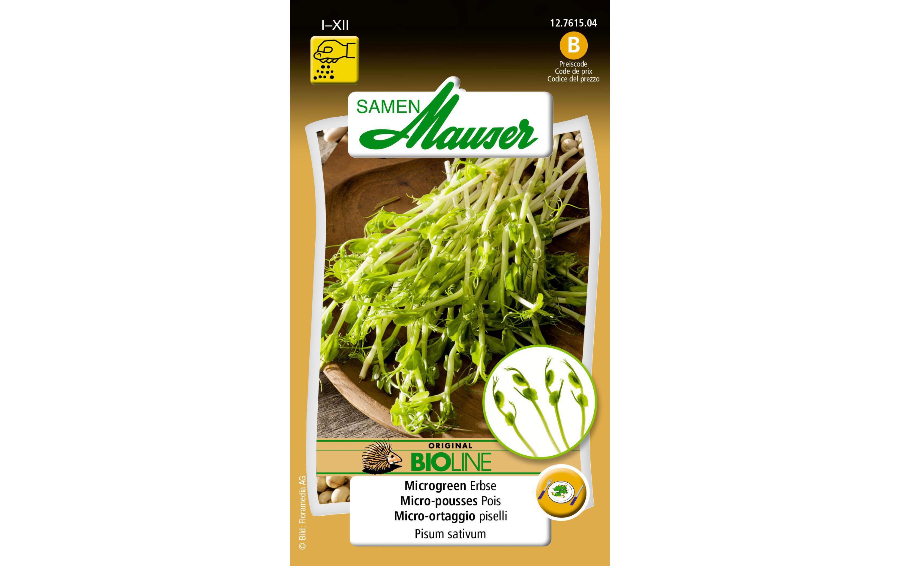 Samen BIO Microgreen ErbseGemüsesamen