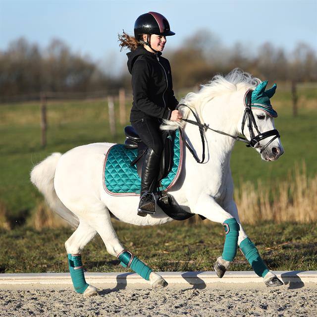 Bandages HORSEGEAR HGAurum Groen