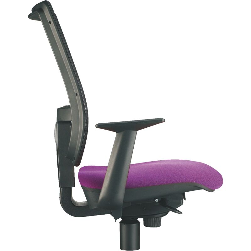 Paires d'accoudoirs fixes pour chaise Nao