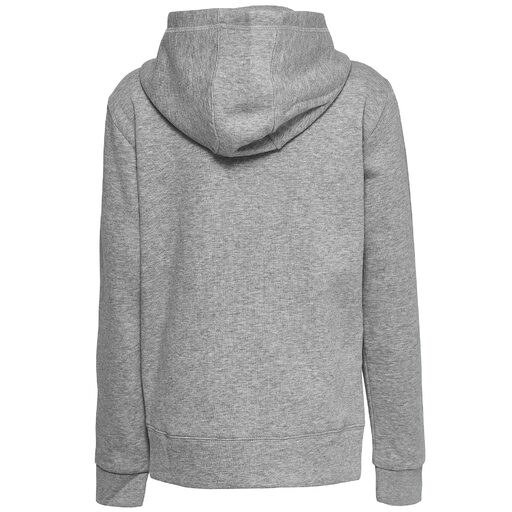 Sudadera Champion com Capucha