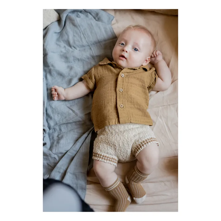 1+ in the family Chemise Manches Courtes David | Camel