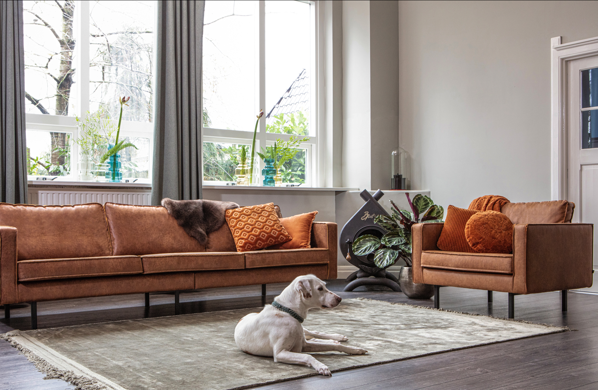 Fauteuil Rodeo leer - Cognac