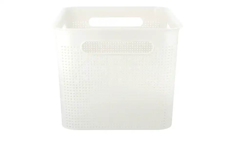 Rotho Aufbewahrungsbox 36 cm