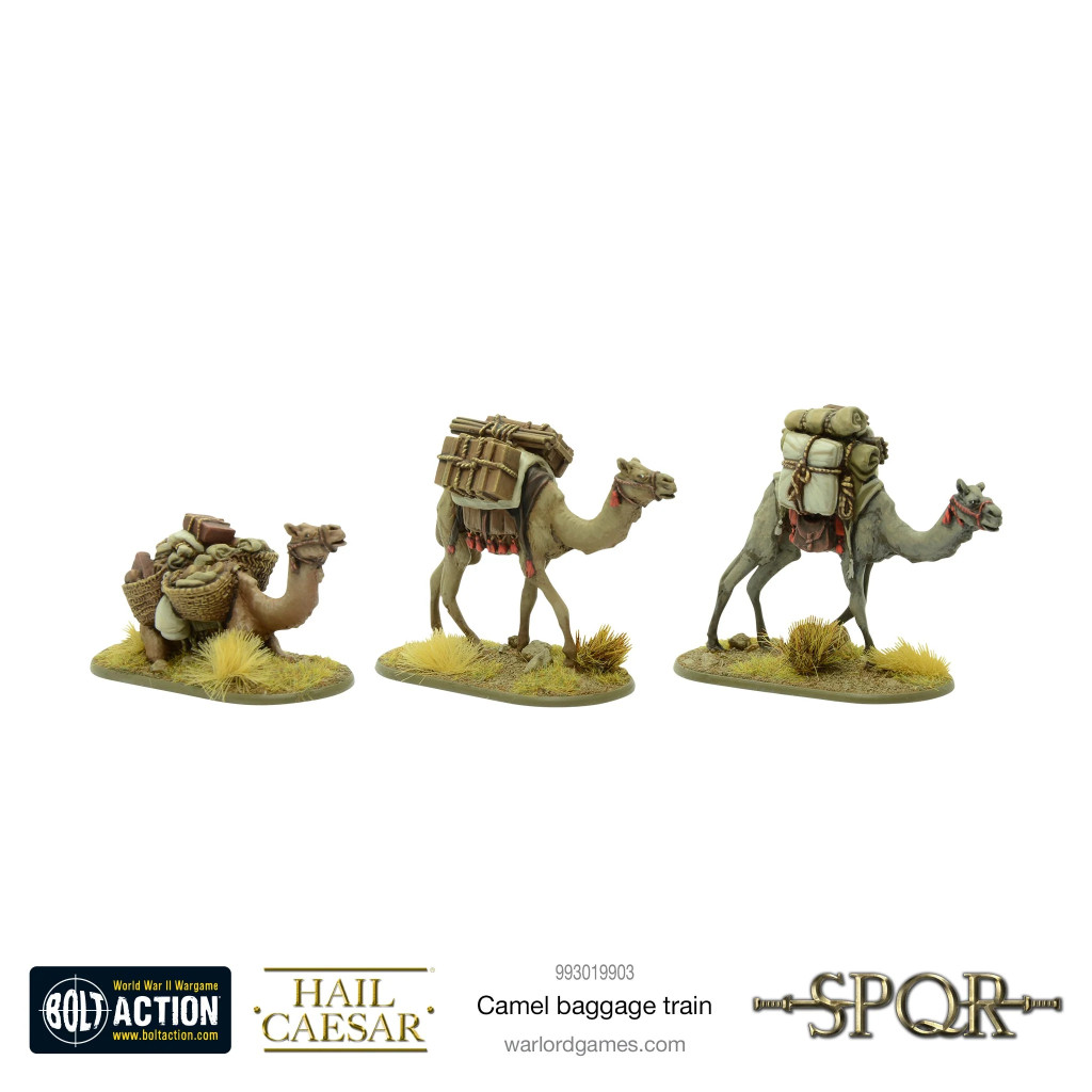 Camel Baggage Train