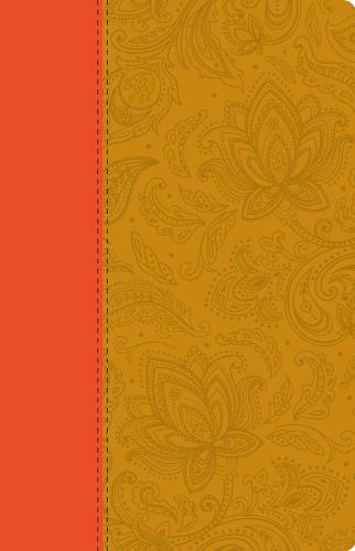 Holy Bible: Paisley Tan Thinline Edition - Collins Anglicised ESV Bibles (Hardback)