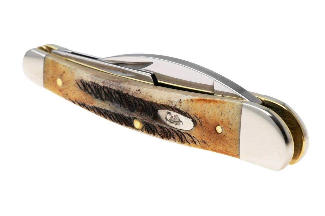 Case Seahorse Whittler, 6.5 BoneStag, 65347, 6.5355WH SS zakmes