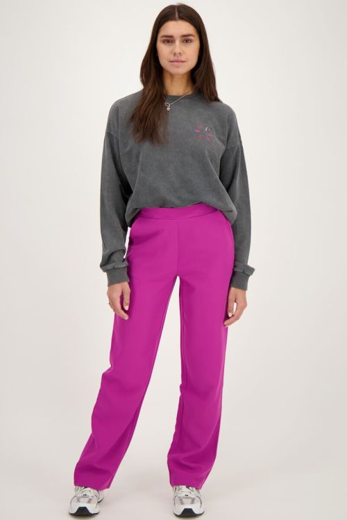 Paarse pantalon met elastiek