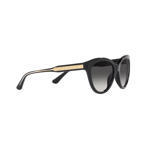 Michael Kors Makena 0MK2158 Solbriller, Sort