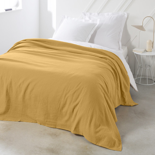 Today - GALINE - Ocre