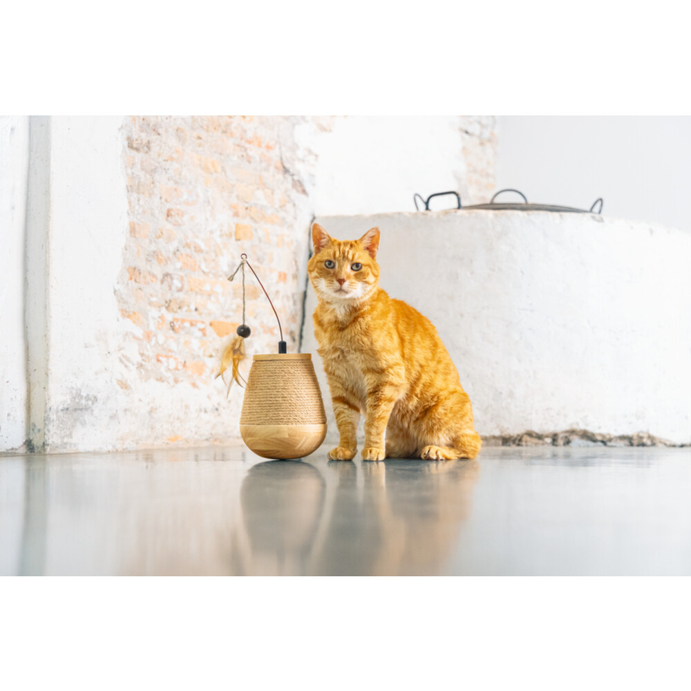 Designed by Lotte Hout Katten Speel TuimelMae 15 x 15 x 18 cm