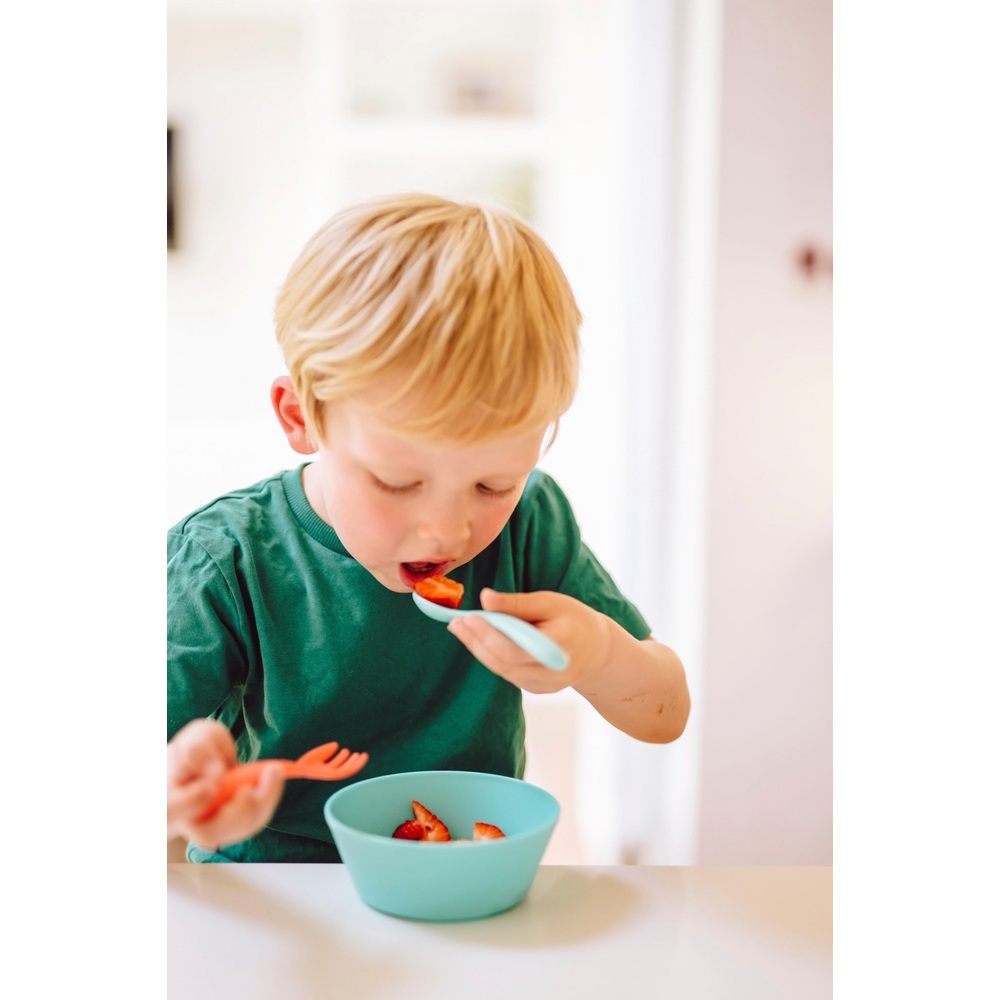 Nuby Bright Beikostschüsseln, 2er-Pack, verschiedene Sorten