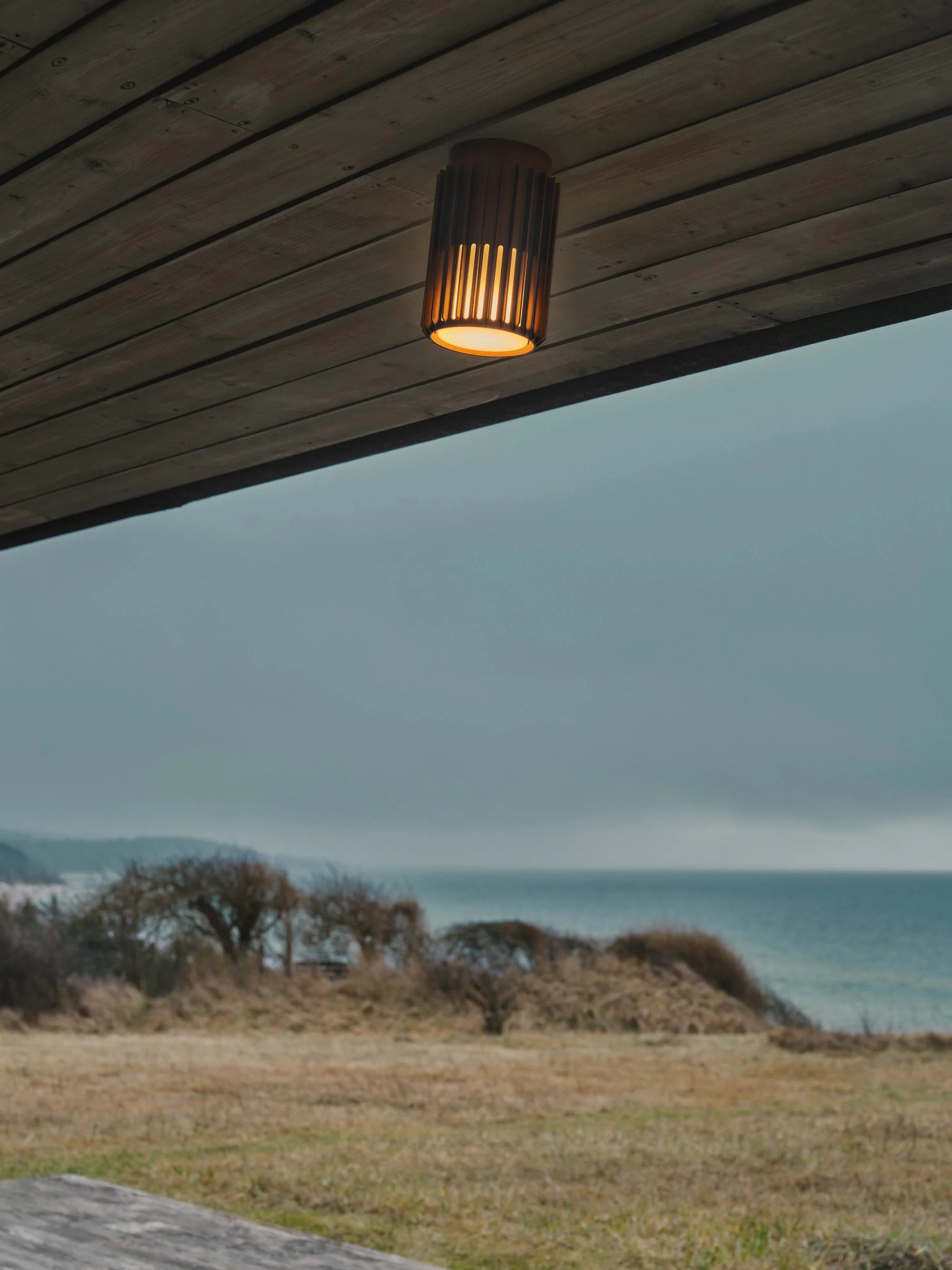 Dimbare outdoor LED-plafondlamp Aludra