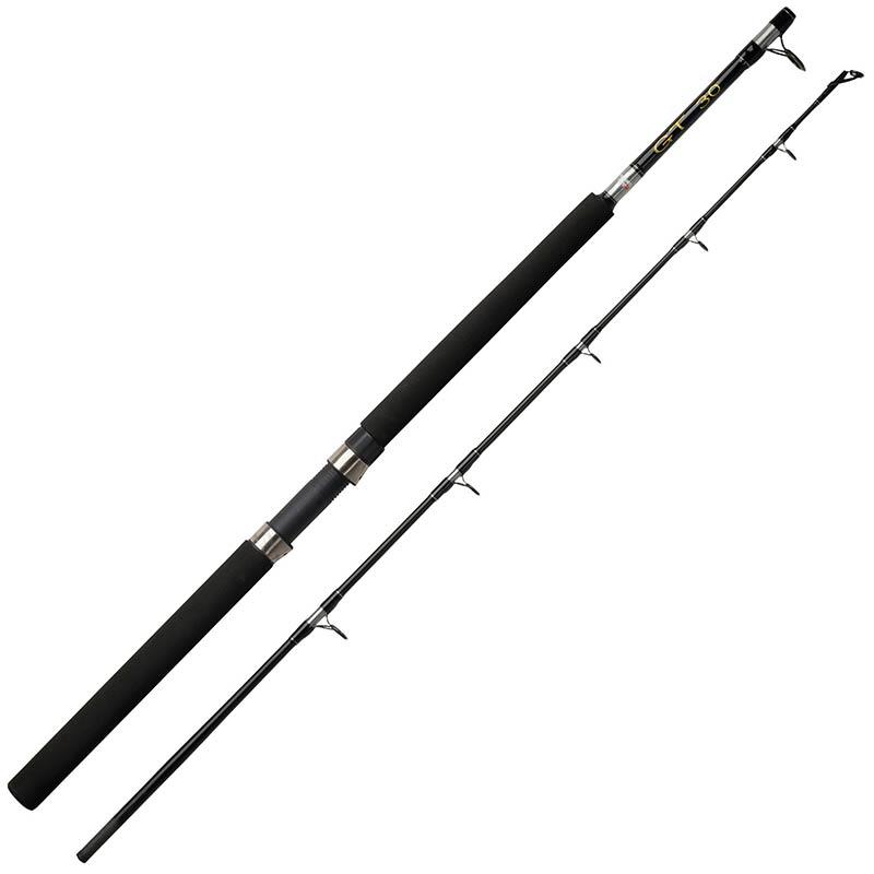 Canne Traine Abu Garcia Gt Trolling