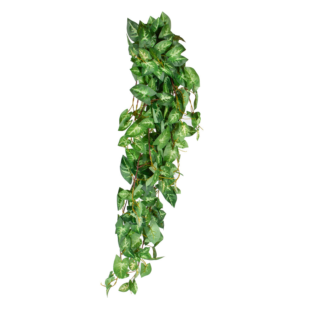 Mica Decorations Fittonia hangend groen - l80xb30xh15cm