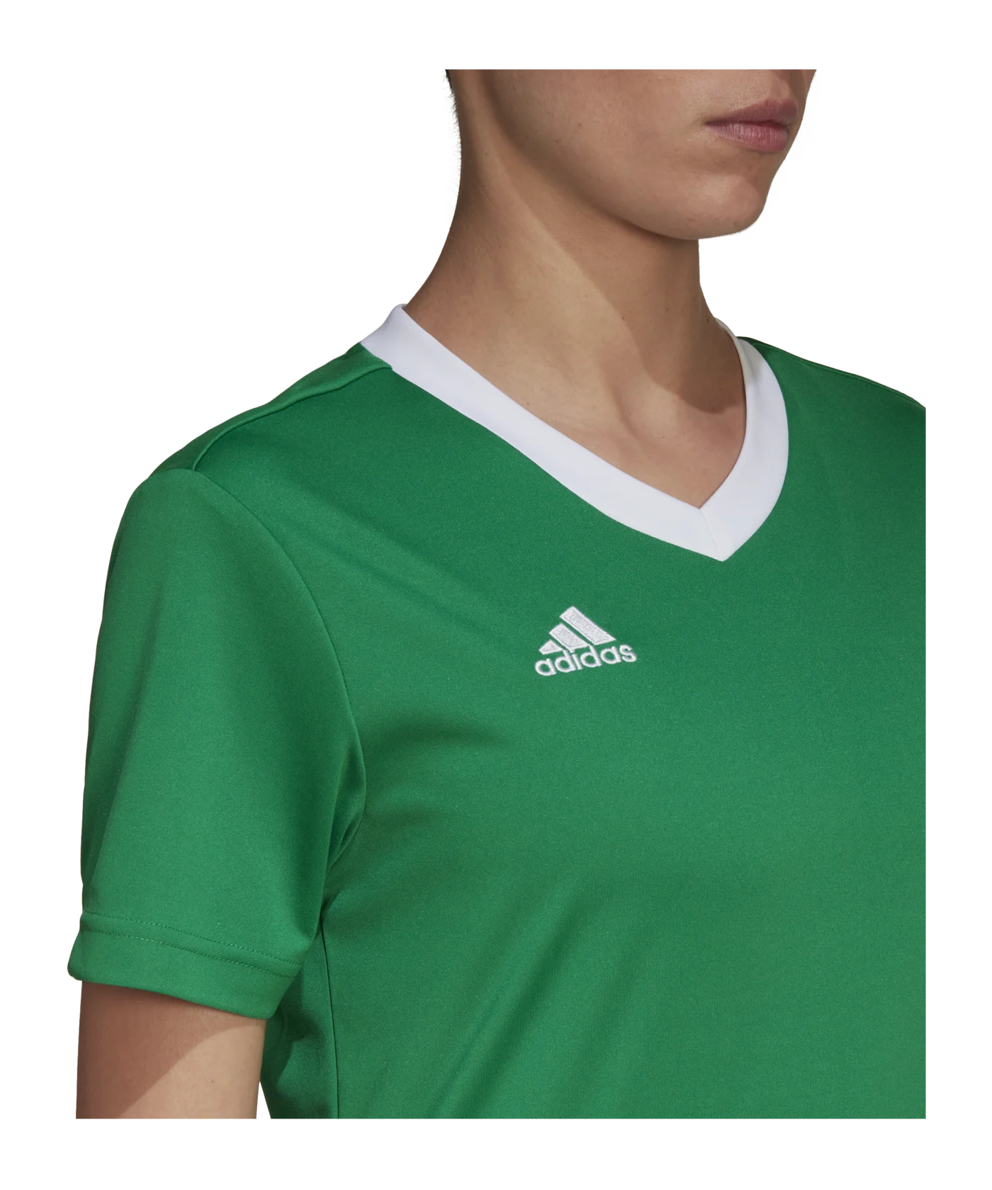 adidas Entrada 22 Trikot Damen Grün
