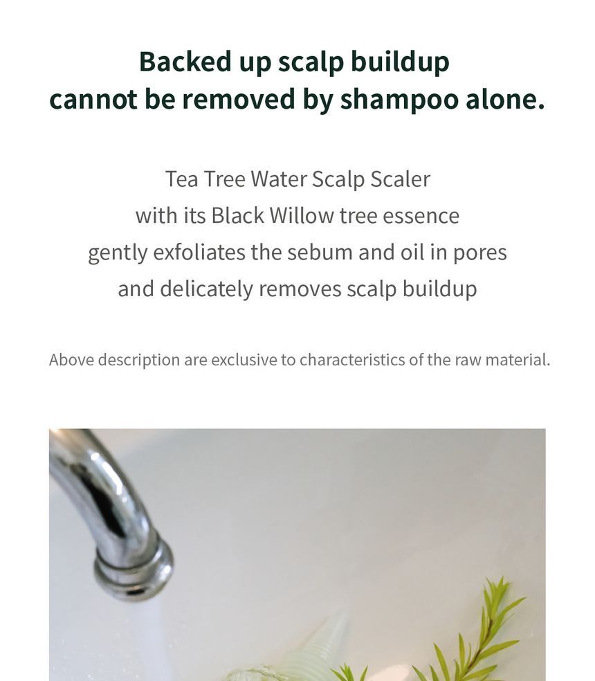 STEAMBASE - Tea Tree Scalp Water Scaler Navulling